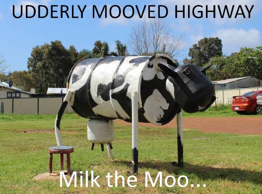 Milk The Moo.jpg